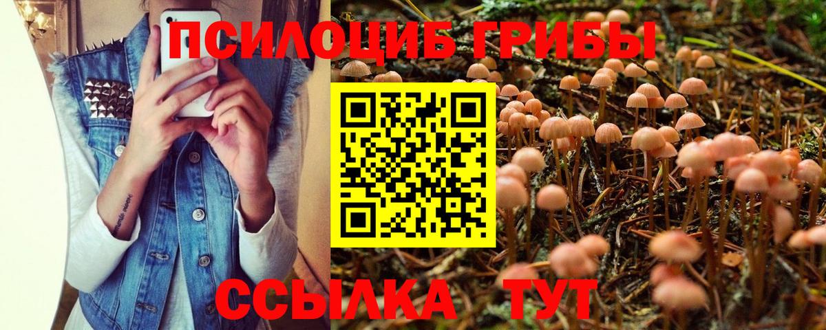 как найти   Вход с VPN  Галлюциногенные грибы MAGIC MUSHROOMS  Калининград  Псилоцибиновые грибы мухоморы 